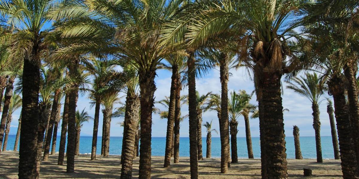 Apartamento Carole Playa Bajondillo Torremolinos Beach - Playa A 30 Segundos - Wifi - Parking - Terraza Apartment ภายนอก รูปภาพ